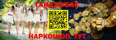 мдпв Жуковский