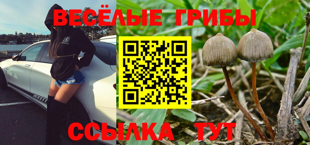 Псилоцибиновые грибы мухоморы Люберцы