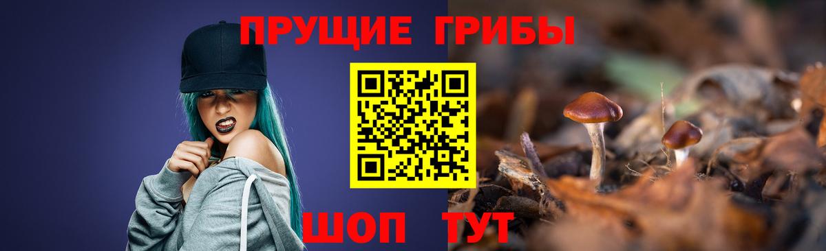 Люберцы  Псилоцибиновые грибы прущие грибы  Вход с VPN 